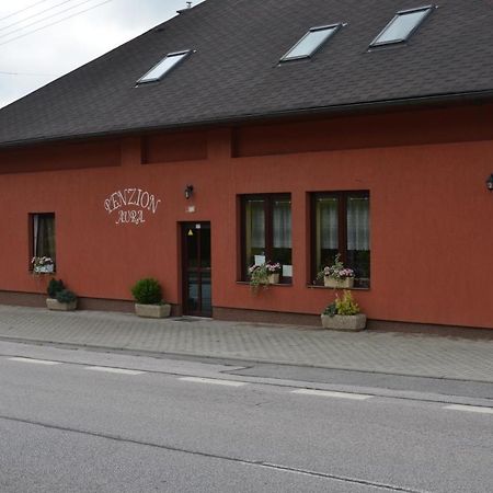 Penzion Aura Dvur Kralove nad Labem Exterior photo
